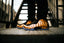 The Return of Copper Foams