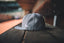 LR x NewEra 5950 Fitted (Gray/White)