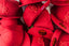 LR x NewEra 5950 Fitted Hat (Red/Red)