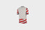 Nike Aero-FIT Authentic US National Team Home Soccer Jersey (White/Red/Sail/Midnight Navy)